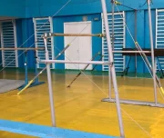 секция спортивной гимнастики гфсги изображение 3 на проекте lovefit.ru