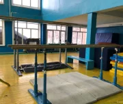 секция спортивной гимнастики гфсги изображение 4 на проекте lovefit.ru